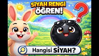 ⚫ Siyah Top ile Renkleri Öğreniyoruz! 🎨👶