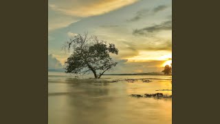 Calm Rhythm