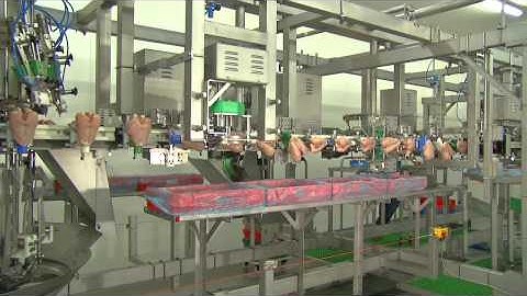 Meyn® Rapid Breast deboner HQ