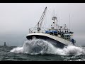 La Coquille St Jacques de Barfleur