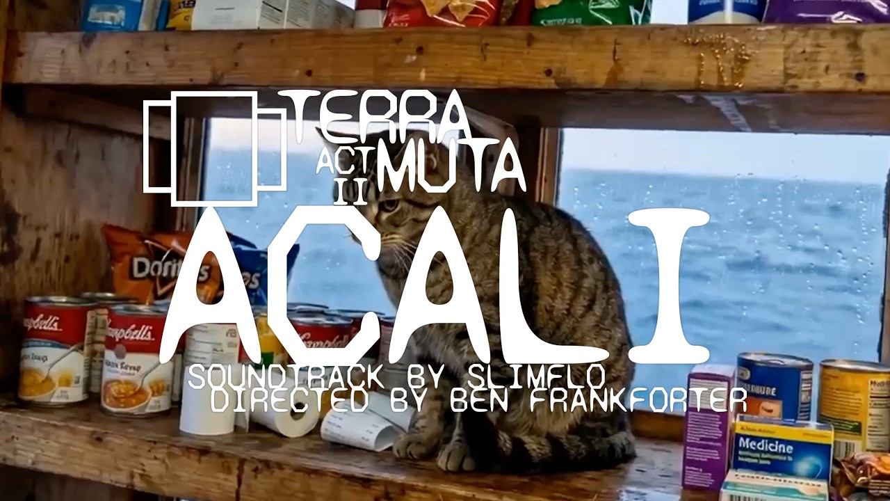 Watch Acali (Music Video) | Slimflo x Polyptych on YouTube Watch Acali (Music Video) | Slimflo x Polyptych on YouTube