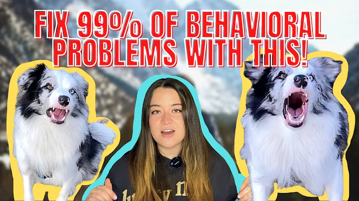 What Are Desensitization and Counterconditioning? (FIX Dog Reactivity and Most Behavioral Problems)