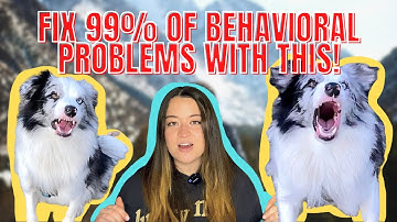 What Are Desensitization and Counterconditioning? (FIX Dog Reactivity and Most Behavioral Problems)