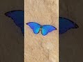 猫向け3Dゲーム 🎮 Cat TV 🐱 [Colorful Butterflies Flying] | 3D HD フルエンターテインメント