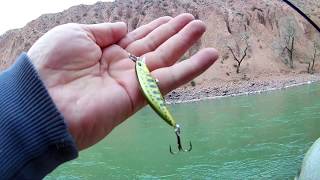 :      2020 . Trout fishing in Kyrgyzstan.   .