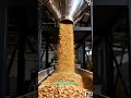 Industrial Flour Milling Machine #heavymachinery #industrialmachines #megamachines