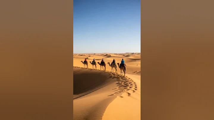 Algiers to the Sahara 🌅 You Won’t Believe This is Algeria! #travel #shortvideo #shortsfeed #shorts