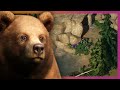 🐻 Grizzly Bear Community Challenge | Planet Zoo Franchise Mode