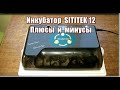 314_Инкубатор  китайский SITITEK 12. Плюсы и минусы.