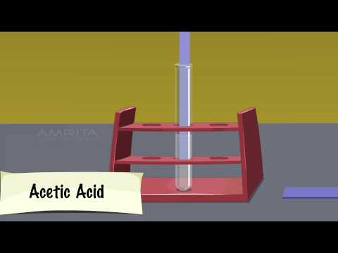 Properties of Acetic Acid - MeitY OLabs