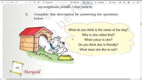 MY SHADOW  QUESTION ANSWERS CLASS 5TH PART  3  || CLASS 5TH ENGLISH UNIT 3 EXCERCISE