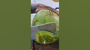 Omg, Big Fresh Coconut Water.  Amazing Coconut Cutting Skills. #shorts #coconut #cuttingskills #fyp