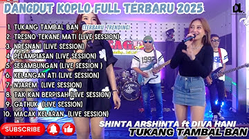 TUKANG TAMBAL BAN - SHINTA ARSHINTA ft DIVA HANI TERBARU FULL ALBUM TERBARU DANGDUT KOPLO 2025