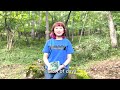 ニューアルバム「Gradation」ラインナップ解説動画 前半