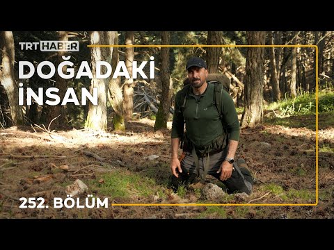 Doğadaki İnsan 252. Bölüm