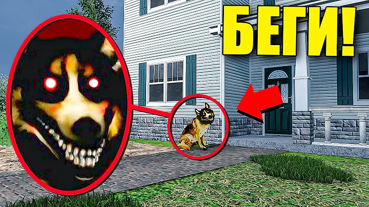 ,  !     Garrys Mod