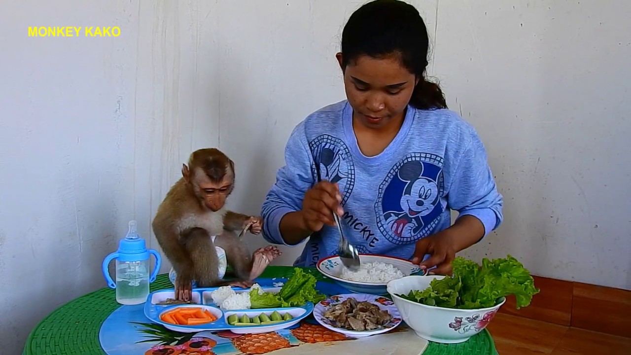 Baby Monkey Kako Very Happy To Join Lunch With Mom