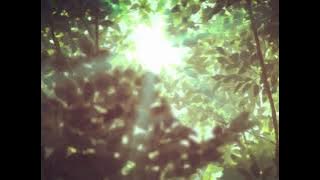 secret crates - Springtime Stroll (slowed & reverberated)