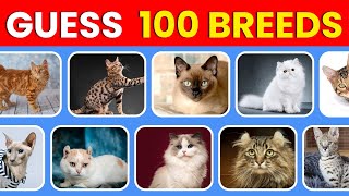 Guess the Breed in 3 Seconds  | 100 Most Popular Cat Breeds