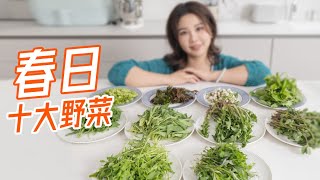 10 types of wild vegetables in spring~春日野菜不等人！再不吃只能明年了丨曼食慢语