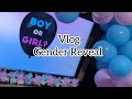 Vlog nga eli day7gender reveal vajze apo djalefestojme nderrimin e vititdezi lami