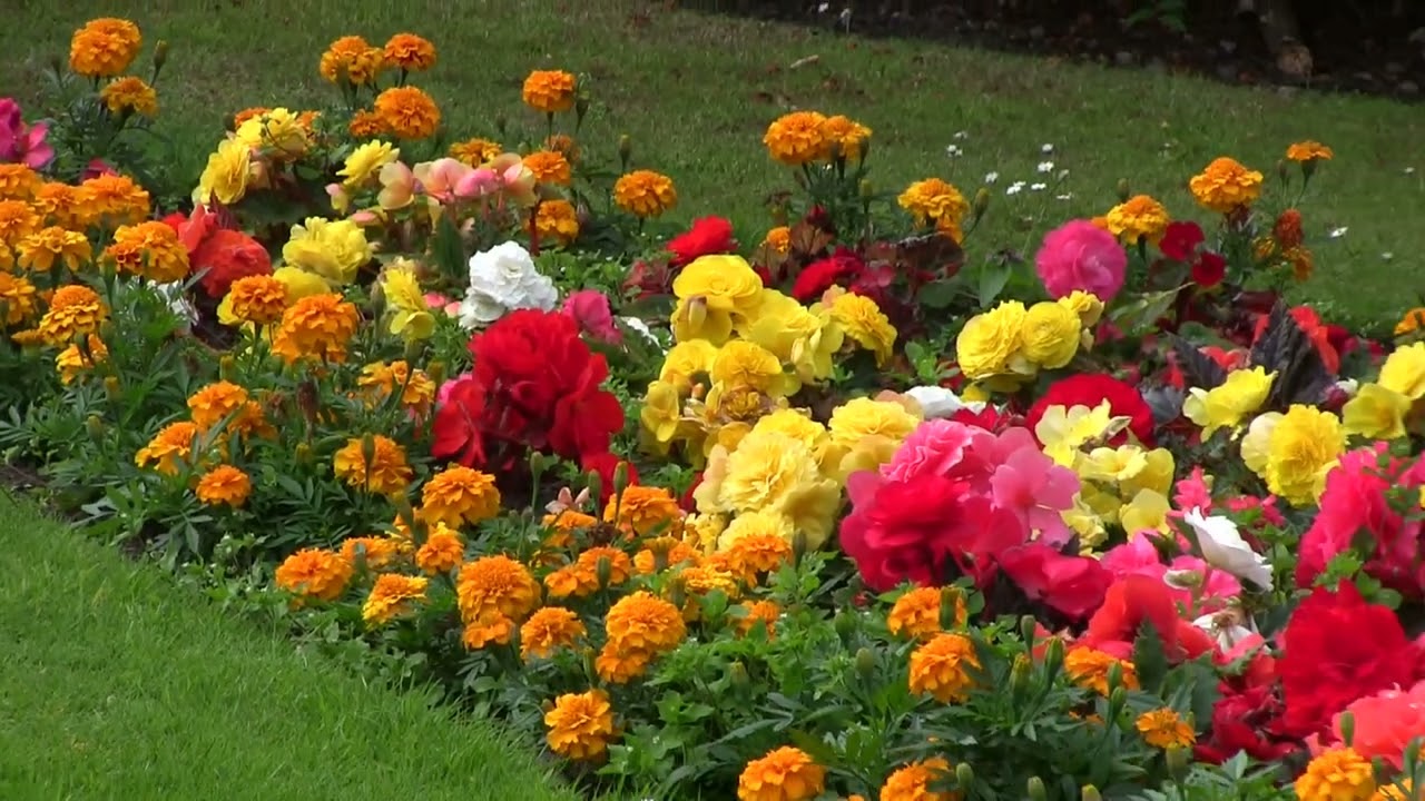 Castle & Verdin Park