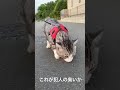 ニャン吉刑事