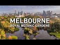 Jardins botaniques royaux  melbourne  australie