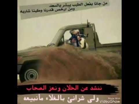 ابو عسكر والله لو من دونه الفين غرام ما يمنعوني من زيارت محله