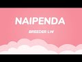 Breeder Lw _ Naipenda (official lyrics video)