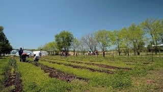 MTSU True Blue Preview: Plant and Soil Science