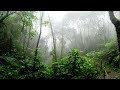 3 hours Rain sounds
