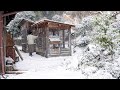 自給暮らしvlog|母娘と田舎に暮らす|冬の和風ポトフと蕪蒸し|#55
