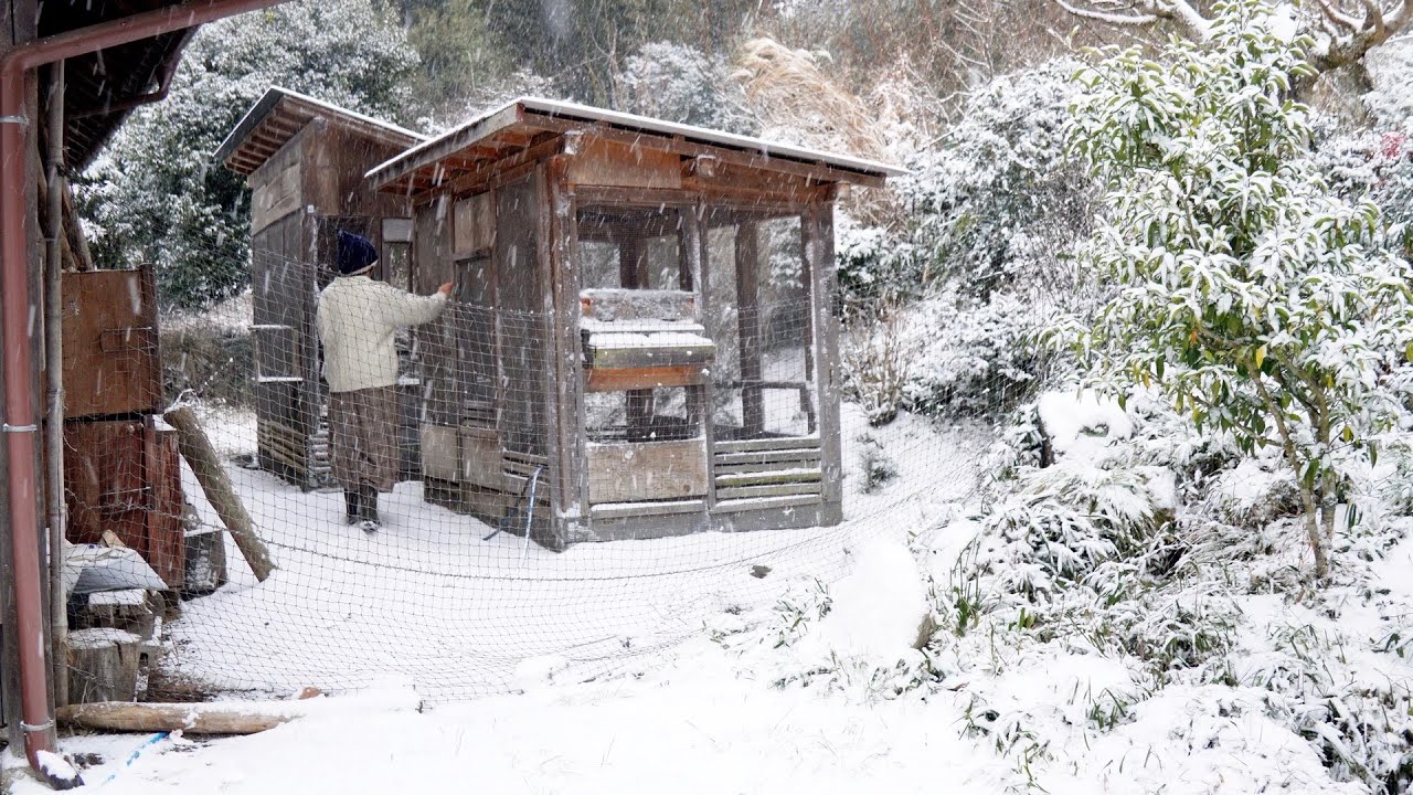 自給暮らしvlog｜母娘と田舎に暮らす｜冬の和風ポトフと蕪蒸し｜#55