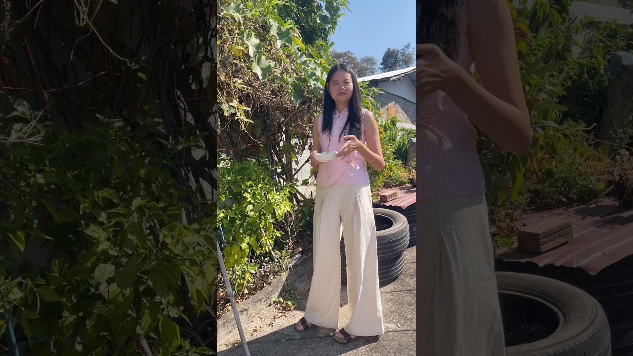 ชุดเก็บพริก