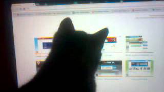 Kot gra na pc :) screenshot 4