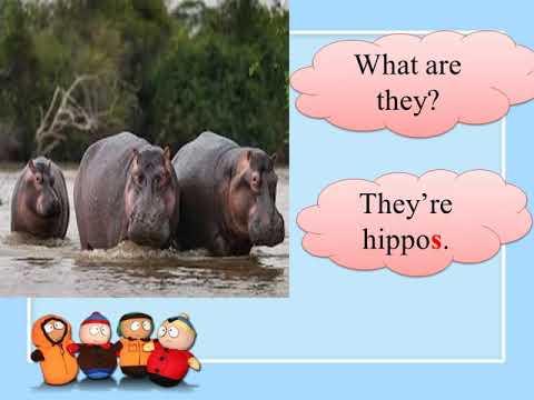 Lớp 1- Tuần 26 - Tiếng Anh - Unit 6: They re bears! -Lesson 1 + 2: Page 42, 43 + Words: bird(s), bear(s), hippo(s), crocodile(s), tiger(s). + Grammar: What are they? They re (bears).