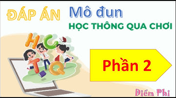 Đáp án mô đun Học thông qua chơi cấp Tiểu học đầy đủ nhất (phần 2) | Diểm Phi Vlog