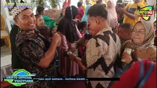 bibit roti - burok Ady muda live losari brebes