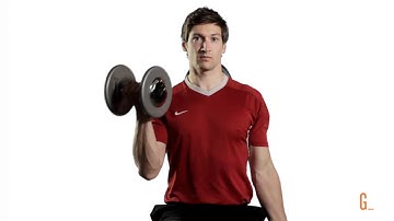 Seated Dumbbell Supinated Alternate Curl