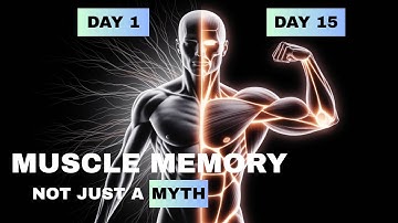 Muscle Memory is REAL: Your Body Remembers Every Rep