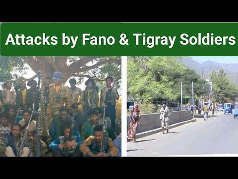 Attacks By Fano Tigray Soldiers