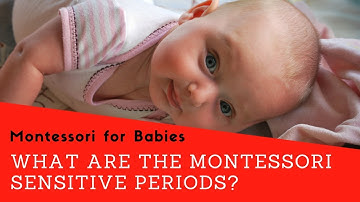 What are the Montessori Sensitive Periods and How Can You Support them?