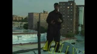 GULLY TV LIVE  SHEA DAVIS  