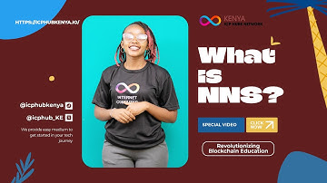 What is Network Nervous System (NNS)?