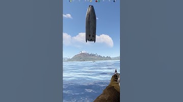 when did they add dolphins to Rust? #shorts #rust #funny