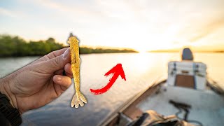 Fattest Redfish I've Ever Seen Shallow Water Fishing + Giveaway