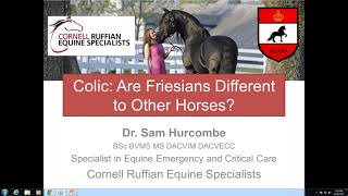 Colic Webinar with Dr. Hurcombe