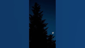 (إِنَّمَا أَمْرُهُ إِذَا أَرَادَ شَيْئًا أَنْ يَقُولَ لَهُ كُنْ فَيَكُونُ ) "سورة يس، الآية 82"