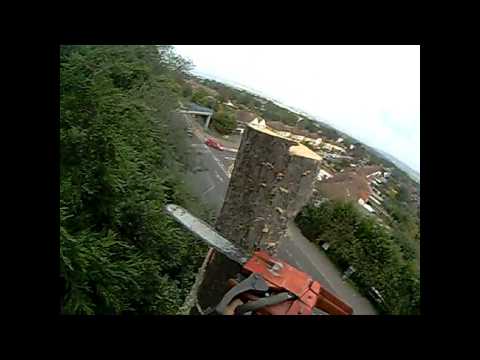 Tree surgeon Maidstone Arborist climbs a dead tree...